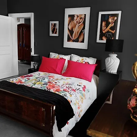 Le Cherche Midi D'hotes Avec Cuisine Equipee Grand Jardin Parking Securise Gratuit Vendégház